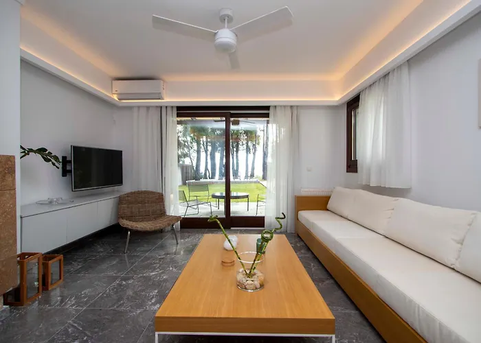 Villa Beyond The Pines By Halkidiki *