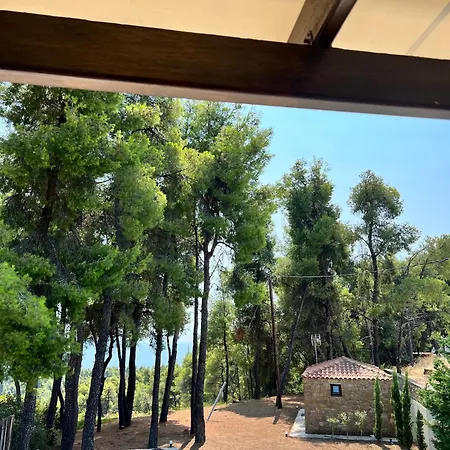 Beyond The Pines By Halkidiki *