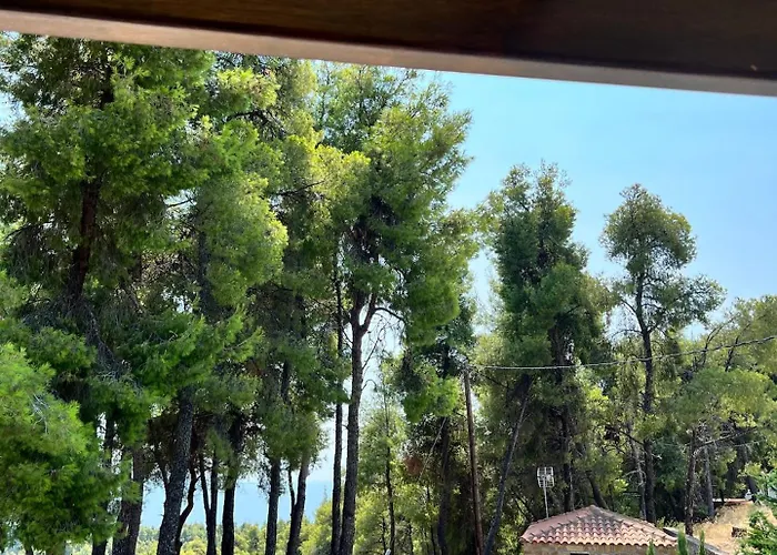 Beyond The Pines By Halkidiki *