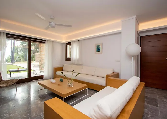 Vila Beyond The Pines By Halkidiki *