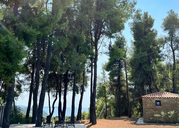 Vila Beyond The Pines By Halkidiki *